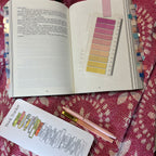 Pink Lemonade Annotation Kit